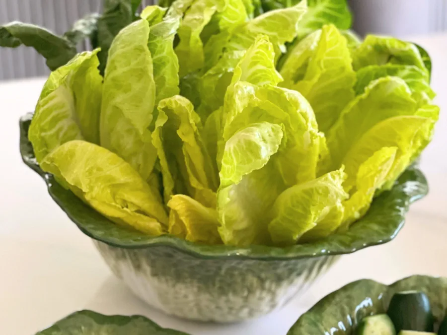 alt="Largest cabbage-shaped bowl filled with romaine lettuce"